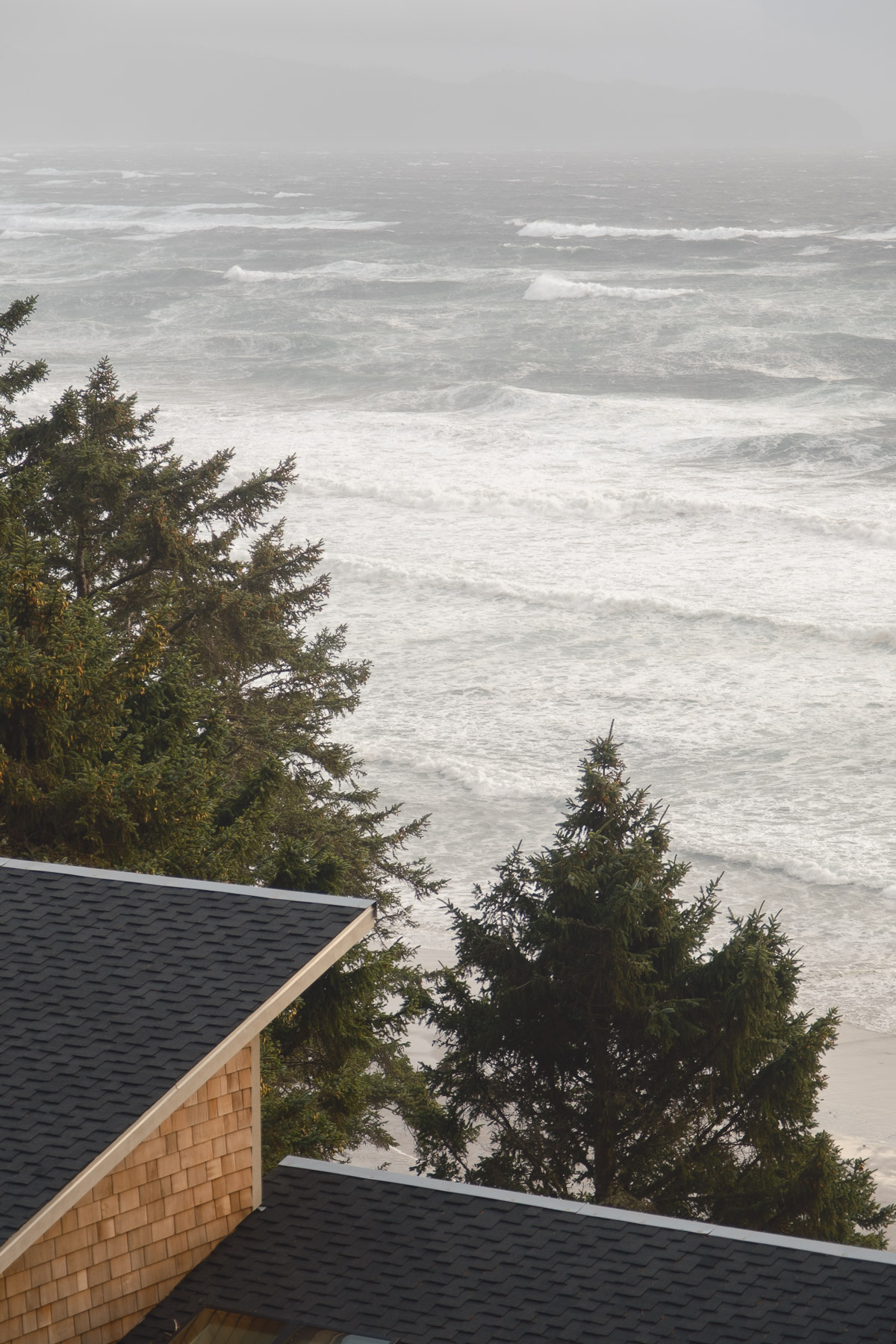 Pacific Northwest Road Trip photo titled Pacific Coast 111